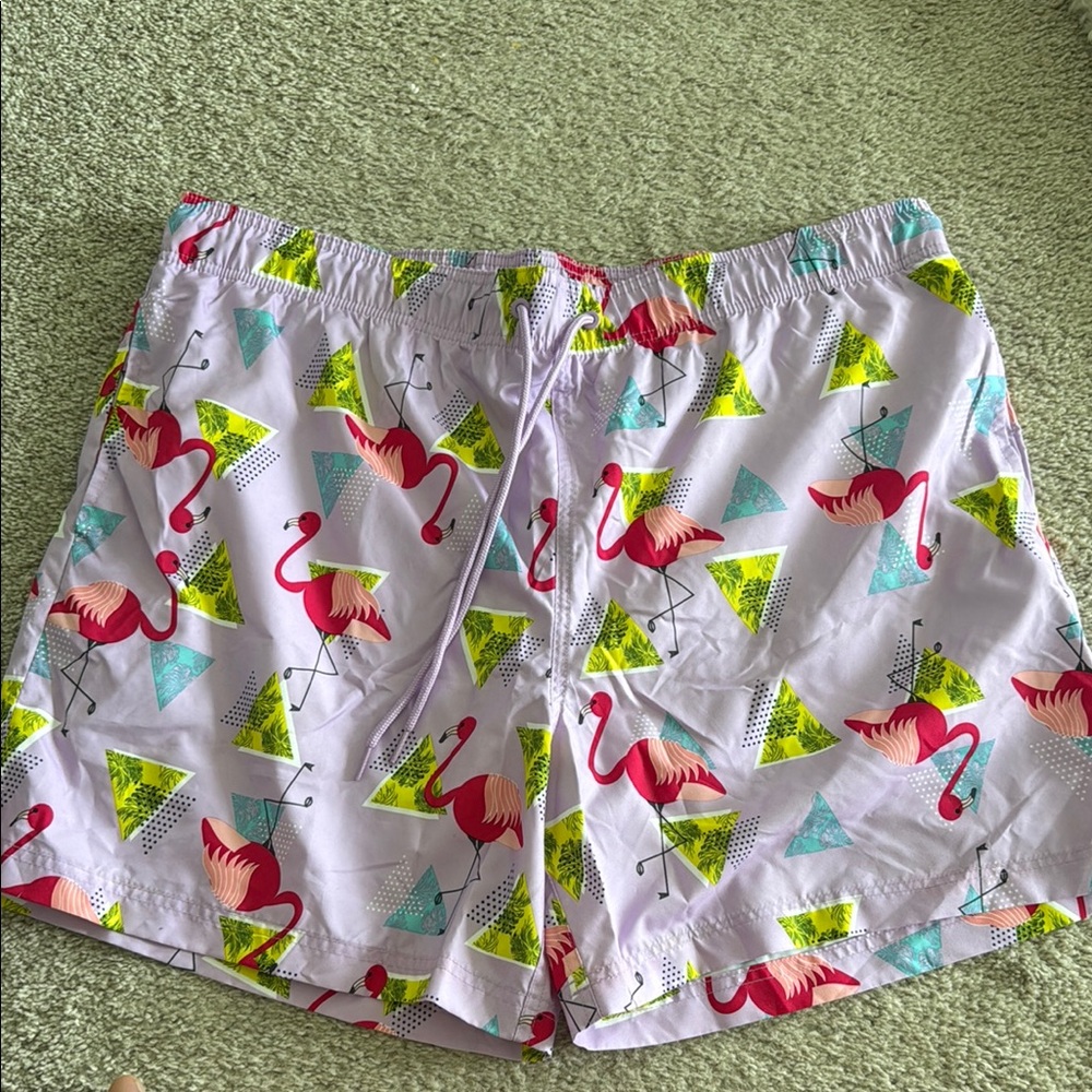 Flamingo and Geometric Print Swim Shorts